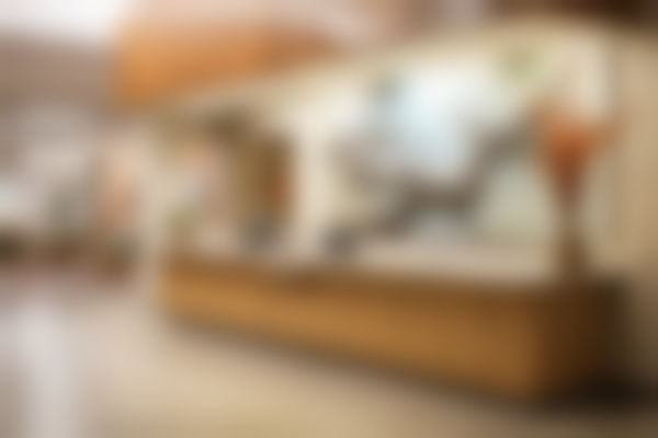 山东潍坊诸城安正口腔