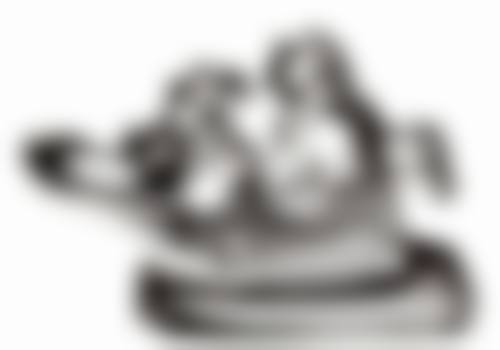 六、遂川米芽口腔诊所荣誉资质与患者口碑，见证品牌实力