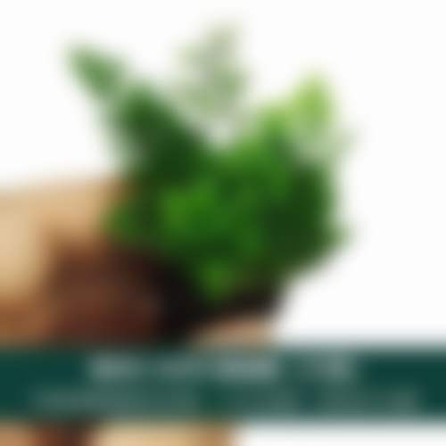 四、深圳鼎植口腔(罗湖口岸旗舰店)设备介绍