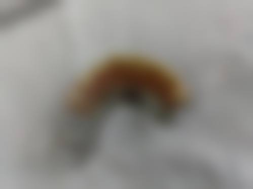 二、杭州桐庐洁诚口腔医生团队，打造专精诊疗服务