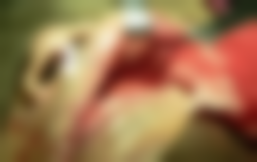 六、涿州市医院口腔科荣誉资质与患者口碑，见证品牌实力