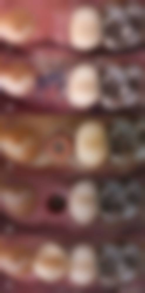 二、湖南益阳经典牙科诊所医生团队,打造专精诊疗服务