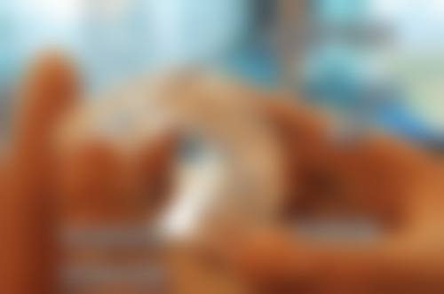 二、晋城皓正口腔门诊部医生团队，打造专精诊疗服务