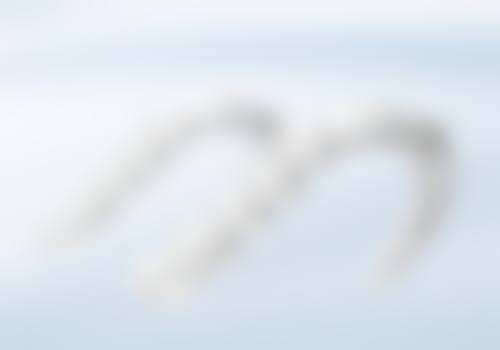 四、重庆乐菲口腔诊所(大渡口分院)设备介绍