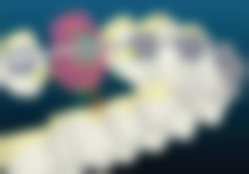 五、芗城佳聚美口腔诊所舒适就医环境,打造人性化诊疗体验