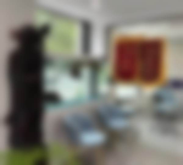 二、上海田奇口腔诊所医生团队，打造专精诊疗服务