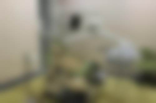 三、嘉兴摩尔口腔门诊部核心科室与特色项目