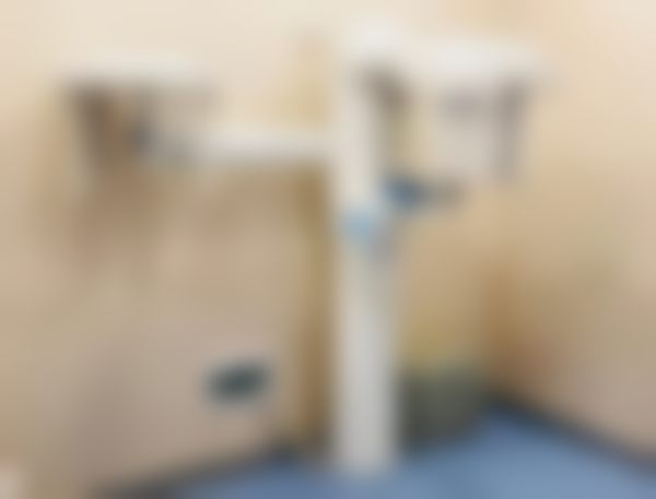 六、武汉德韩口腔（硚口门诊部）荣誉资质与患者口碑，见证品牌实力