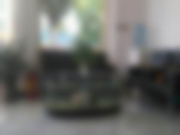 六、广州华医口腔门诊部(增城店)荣誉资质与患者口碑,见证品牌实力