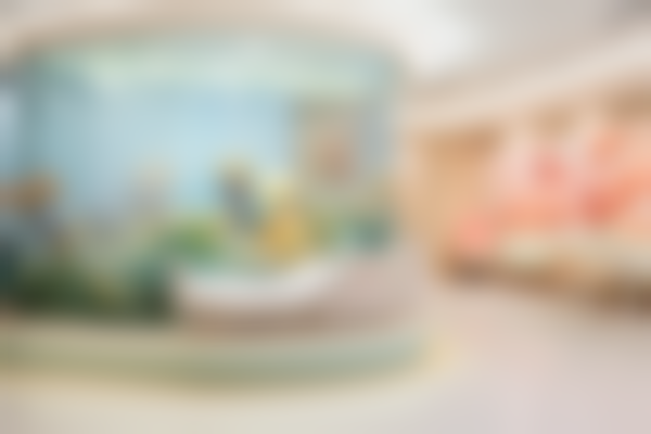 陕西榆林市榆阳区亿口笑口腔