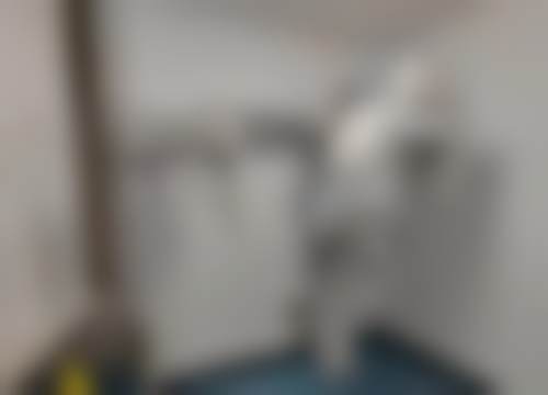 二、铜仁莎莎口腔诊所医生团队，打造专精诊疗服务