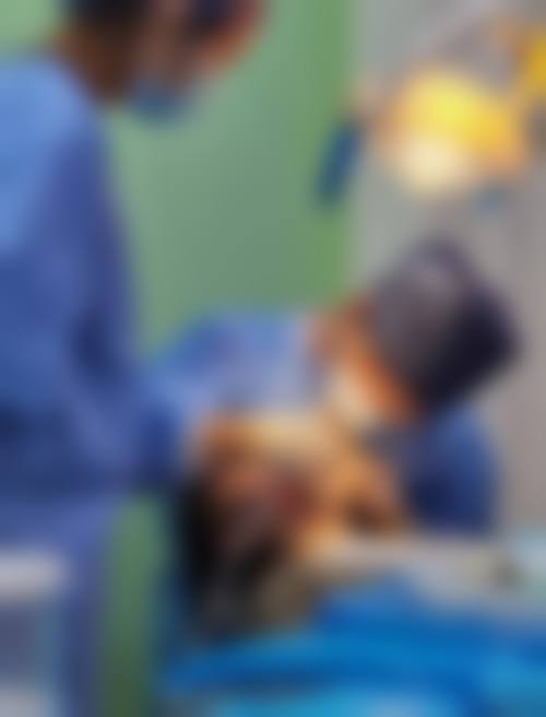 六、山东泰安艺皓口腔荣誉资质与患者口碑，见证品牌实力