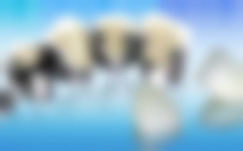 七、广东中山美笑然口腔就医指南，便捷就诊不迷路