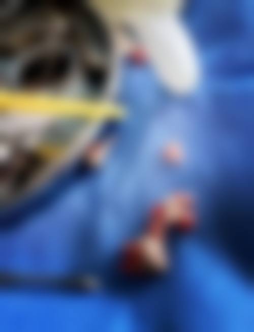 七、杭州杭皓口腔（靖江诊所）就医指南，便捷就诊不迷路