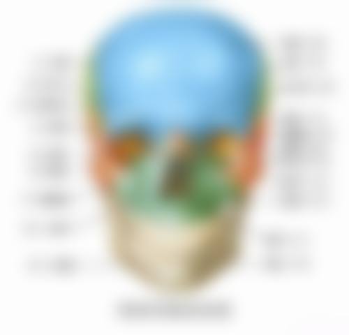 六、桂林豪美口腔（六合分店）荣誉资质与患者口碑，见证品牌实力