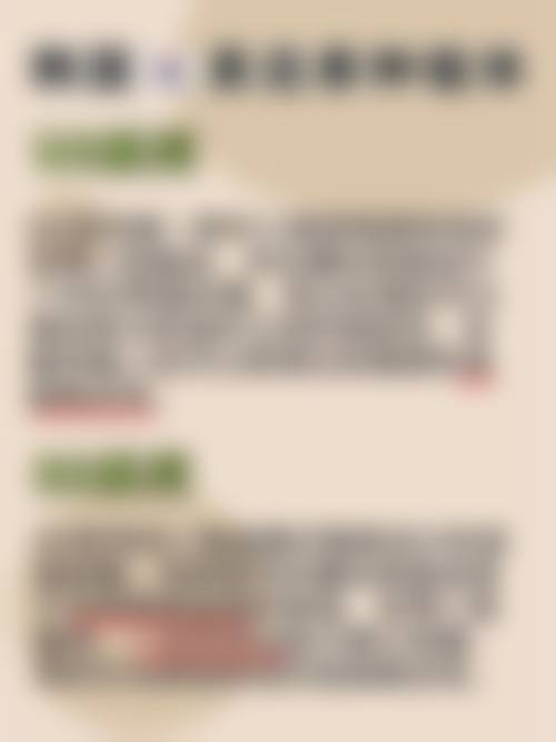 擅长项目详解