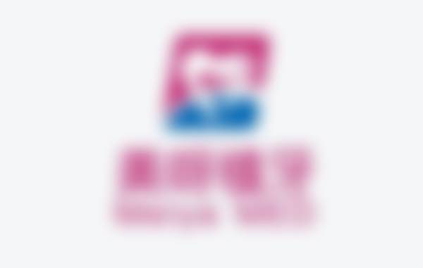 擅长项目详解:解京森+核心项目