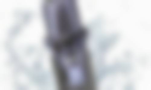 骨干医生团队与服务流程:专精定制专属健康方案