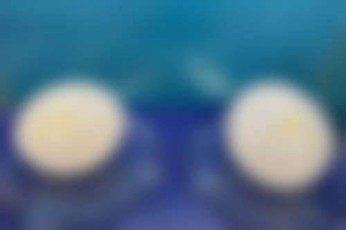 价格透明与优惠活动详情