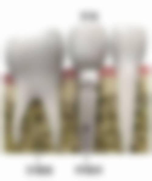 六、株洲晶钻口腔口腔（渌口店）荣誉资质与患者口碑，见证品牌实力