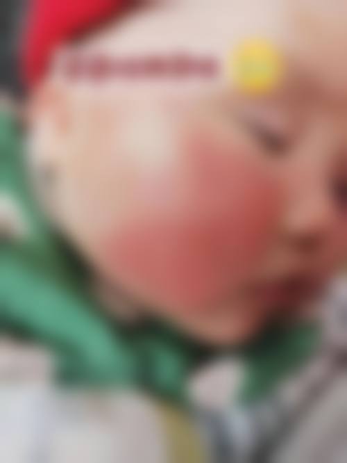 便捷预约与服务流程指南