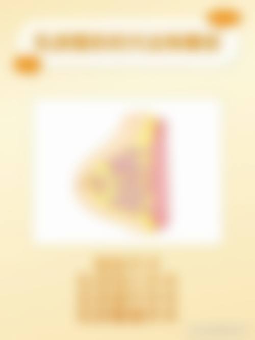 总结与预约指引