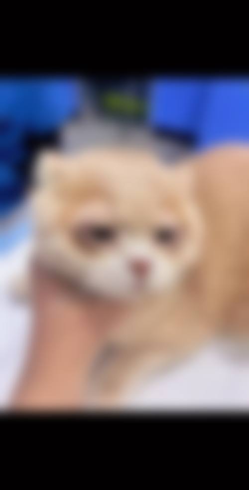 医院资质与实力解析