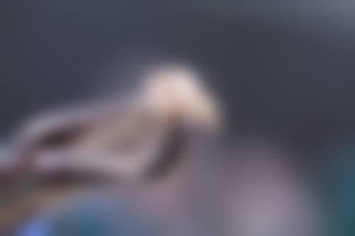 二、牙卫士口腔医院医生团队，打造专精诊疗服务