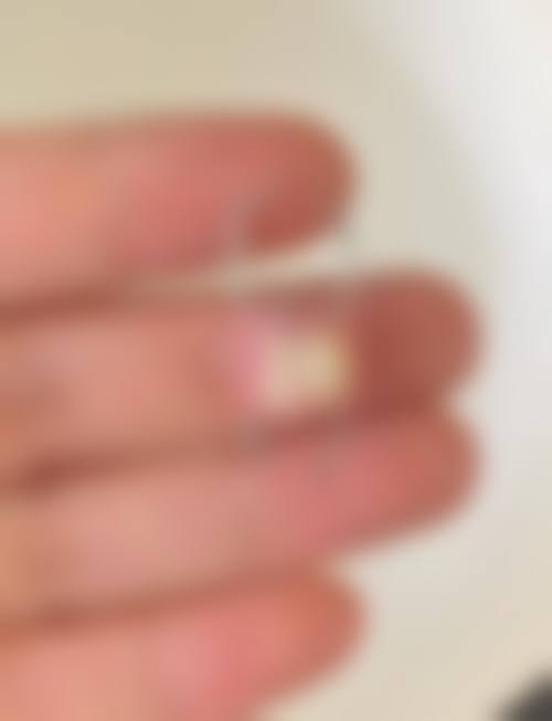 结语与预约指引