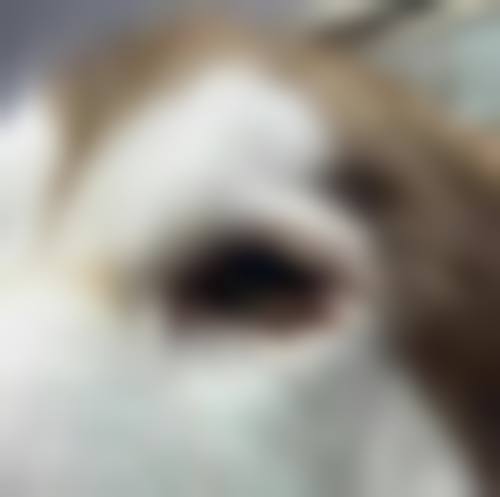 患者真实评价:华北石油管理局总医院眼科马艳梅的口碑见证