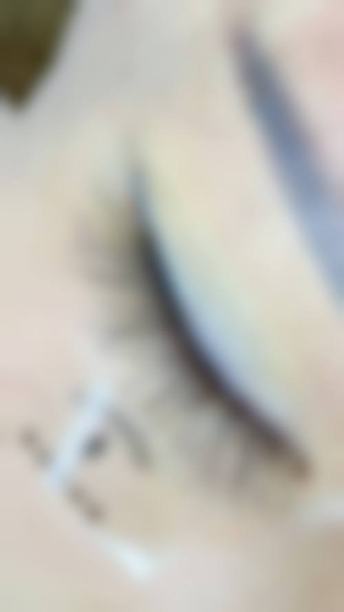 诊疗特色总结