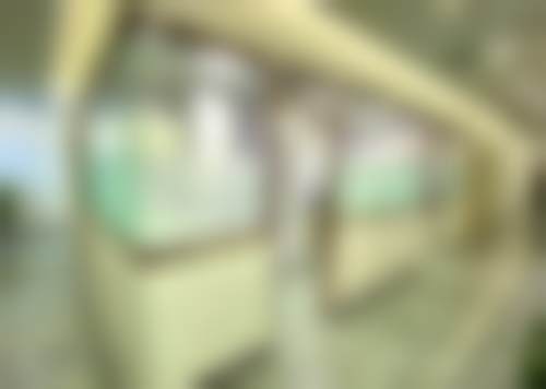诊疗特色总结