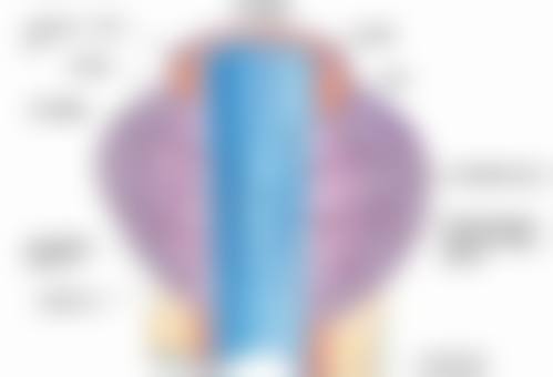 常见问题解答FAQ