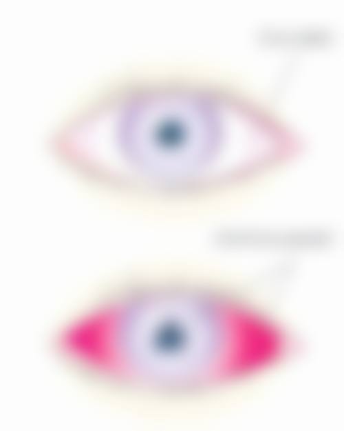 总结与预约指引