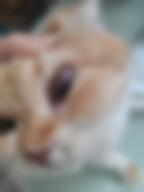 结尾预约号召
