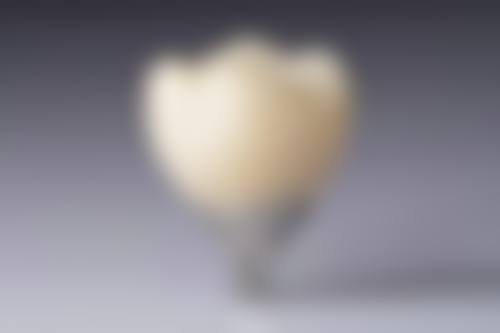 总结与预约指引
