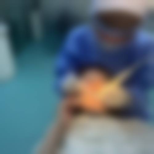 核心项目与技术优势展示