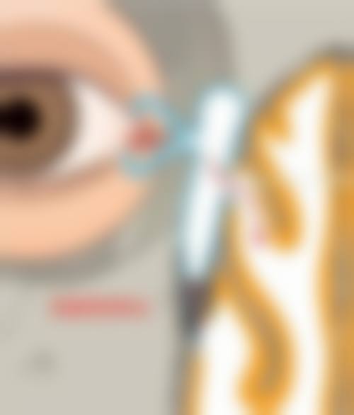 结尾预约号召