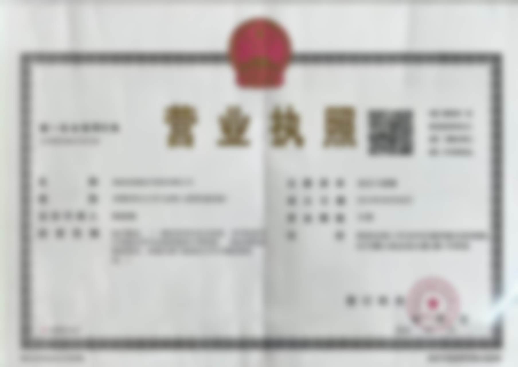 医生资质介绍:符科杰+核心项目