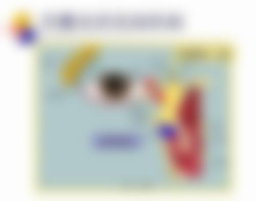 临床实例分享