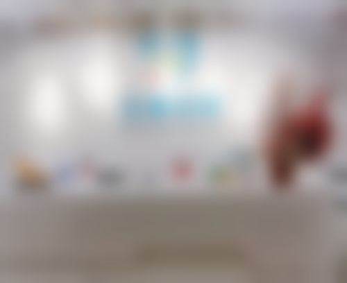擅长项目详解