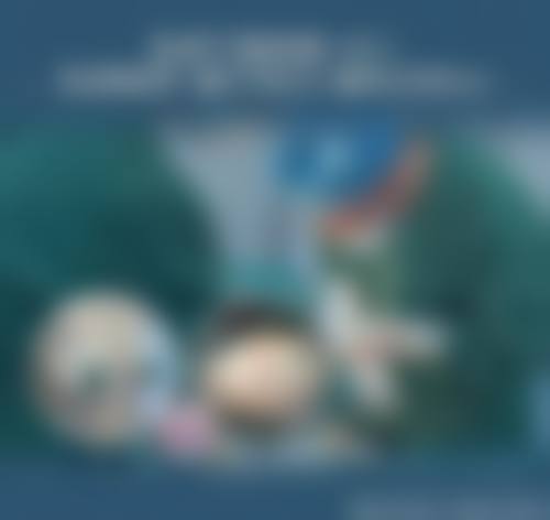 常见问题解答FAQ
