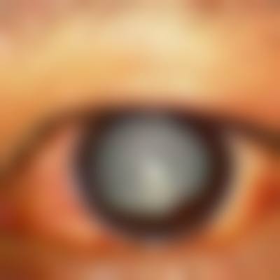 六大专精学组与前列设备配置