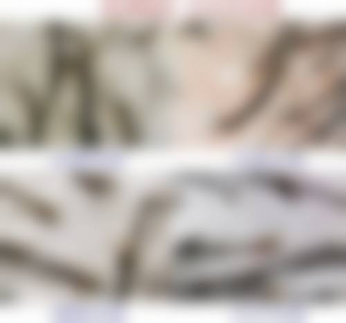 常见问题解答FAQ