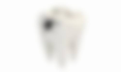 交通指引与预约方式
