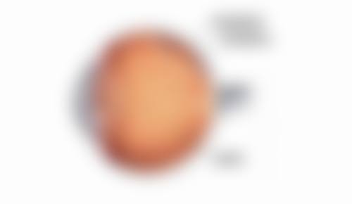 常见问题解答（FAQ）