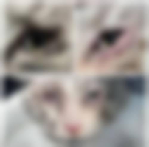 结尾预约号召:立即行动,重获清晰视界