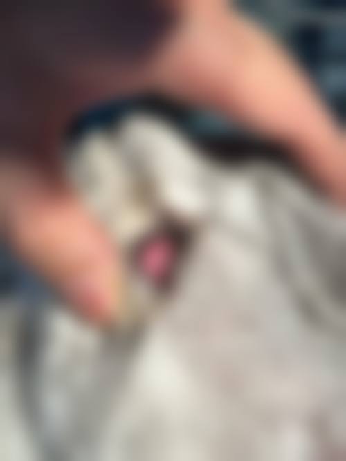 预约优惠活动:现在预约有什么补贴?