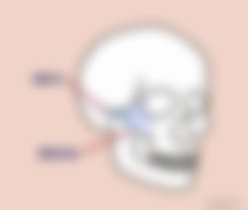 常见问题解答
