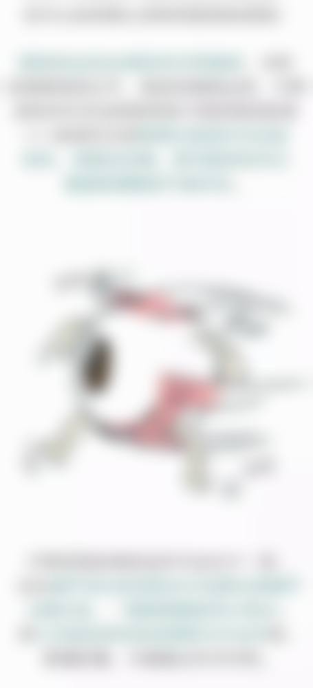 常见问题解答与便捷预约指南